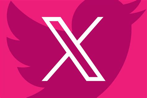 the verge twitter|twitter verification fee.